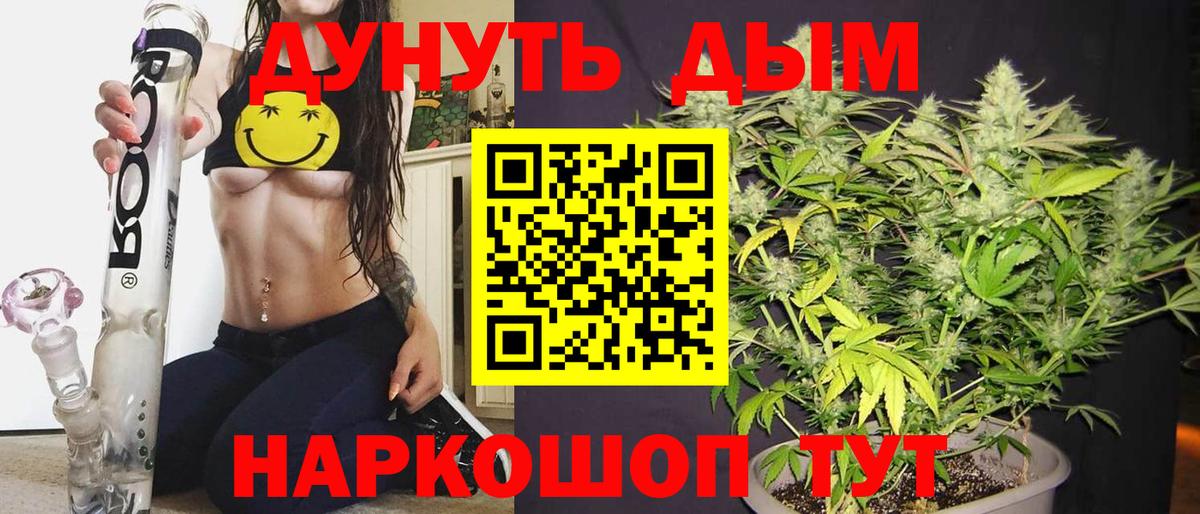 Шишки марихуана конопля Тольятти